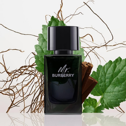Burberry Mr. Burberry EDP for men | Samples